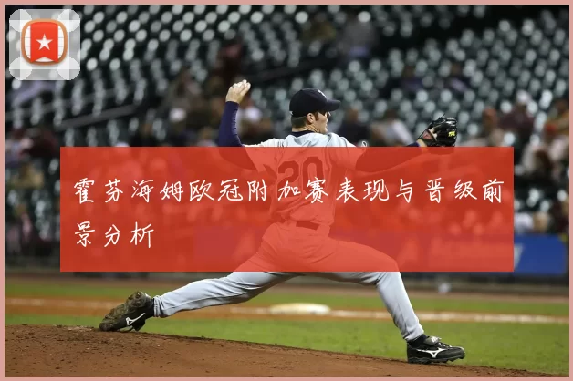 霍芬海姆欧冠附加赛表现与晋级前景分析