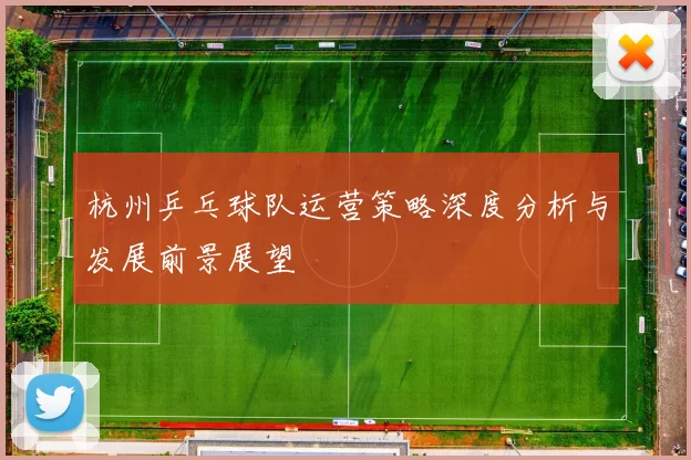 杭州乒乓球队运营策略深度分析与发展前景展望