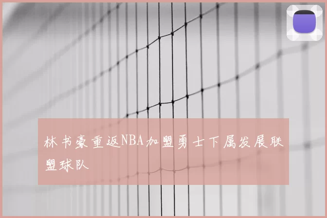 林书豪重返NBA加盟勇士下属发展联盟球队
