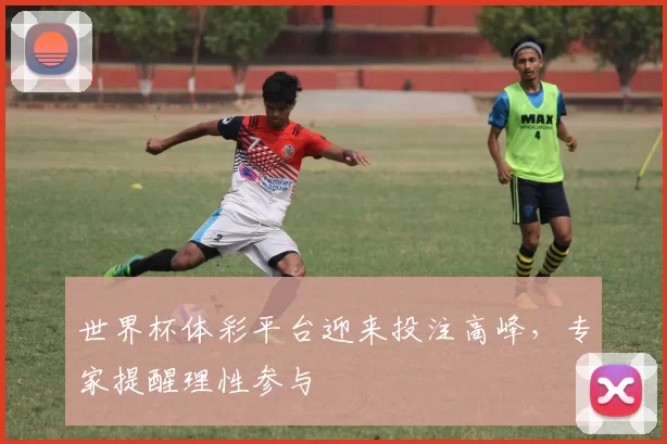 世界杯体彩平台迎来投注高峰,专家提醒理性参与