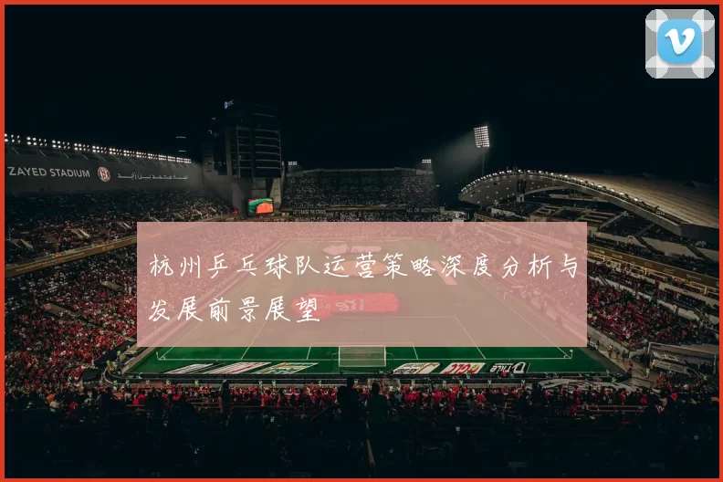杭州乒乓球队运营策略深度分析与发展前景展望
