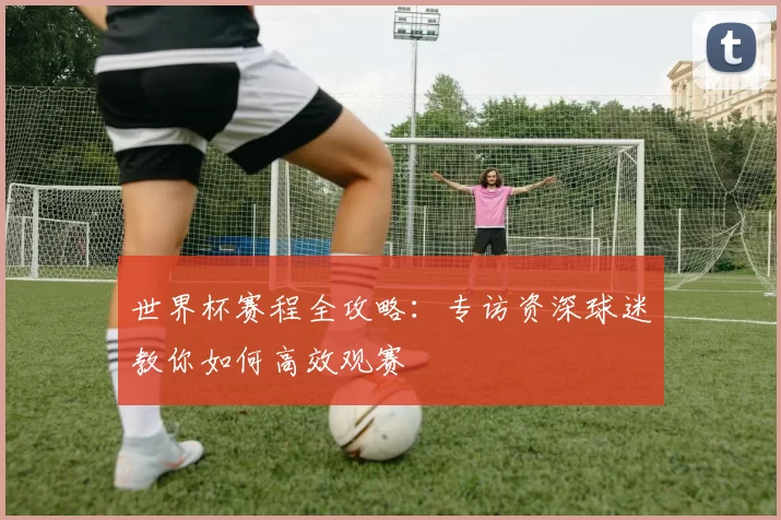 世界杯赛程全攻略：专访资深球迷教你如何高效观赛